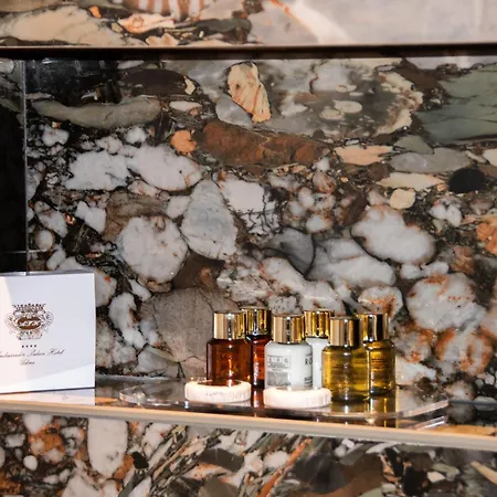 Hotel Ambassador Palace