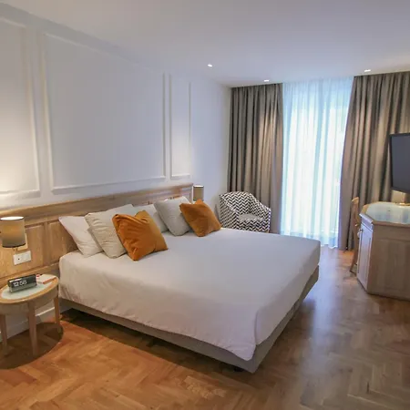 Hotel Ambassador Palace