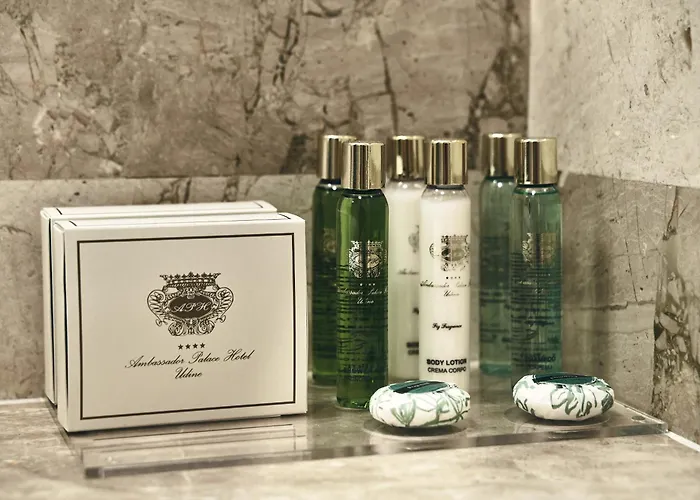 Ambassador Palace فندق أوديني