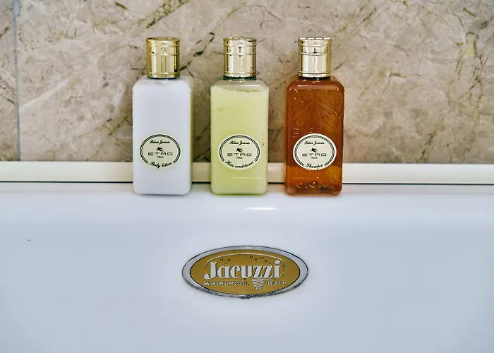 Hotel Ambassador Palace